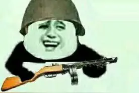 德国表情包视频封面