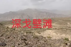 深戈壁滩处还有一家牧民，真是太胆子大了！视频封面