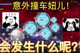 球球大作战:意外撞车妞儿解说会发生什么有趣的事？简直太意外了视频封面