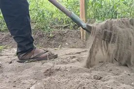 非洲刚果金金沙萨的土地贫瘠干旱，在这里种地太难了视频封面