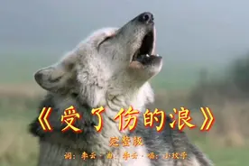 小玟子演唱的一首DJ版伤感情歌《受了伤的狼》完整版.送给你视频封面