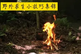 野外求生小技巧，利用水瓶做放大镜，电路板做长矛，树叶指南针视频封面