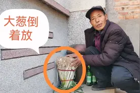 冬天储存大葱倒着放厉害了，大葱不空不烂，全家人能吃一冬天视频封面