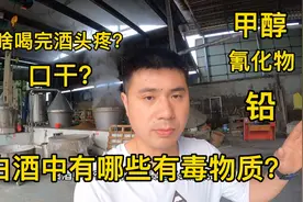 酿酒小哥讲解白酒中有毒有害物的来源和处理方法，酒厂必备知识。视频封面