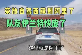丰田荣放床车自驾西藏阿里，高原油耗太低，队友现代伊兰特快废了视频封面
