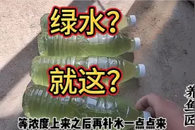 养鱼养虫都需要绿水，特地网购了小球藻种水培养，结果就收到这？视频封面