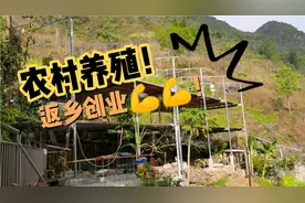 坡地搭架建鸡棚，在农村创业就得这么干！！