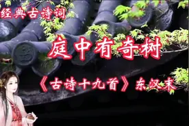 经典古诗词诵读《庭中有奇树》：天长地远，相思何处传达？视频封面