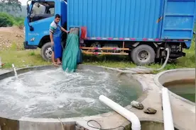 山泉水瘦身鱼品质好，掌握好过池方法很关键，辉哥分享养殖经验