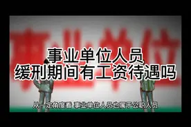 事业单位人员被判处缓刑期间有工资待遇吗？视频封面