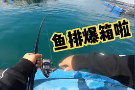 深圳鱼排矶钓 只要方法用的对，鱼排也能钓爆箱（上）视频封面
