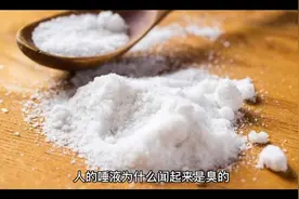人的唾液为什么闻起来是臭的视频封面