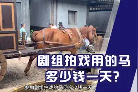 剧组拍戏用的马多少钱一天？这些马时如何参加工作的？