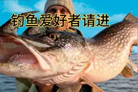【中文翻译】国外大神的疯狂钓鱼行为视频封面