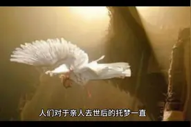亡人托梦必有事端，已故亲人托梦预示着什么？你知道吗？视频封面