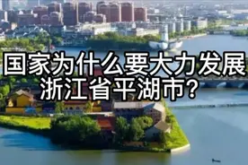 国家为什么要大力发展浙江省平湖市？视频封面