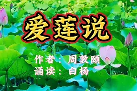 周敦颐《爱莲说》，莲出污泥而不染，濯清涟而不妖。诵读：白杨。视频封面