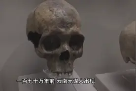 历史顺口溜，轻松拿捏历史书视频封面