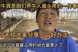 清理牛粪是咱们养牛人最头疼的一件事，今天给大家分享一个好办法视频封面