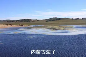 16，19年，沿途看到的内蒙古海子，湖，湾，黑脸羊，马，草原视频封面