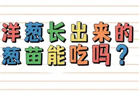 洋葱发芽长出类似葱一样的可以吃吗？是否有营养价值呢？#涨知识#