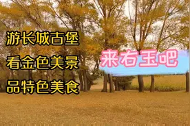 塞上绿洲右玉县，有古长城和美食，但最好看的还是金色美景视频封面
