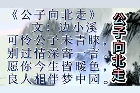上联：愿你今生皆暖色；下联：邀君？幽默喜感古风《公子向北走》视频封面