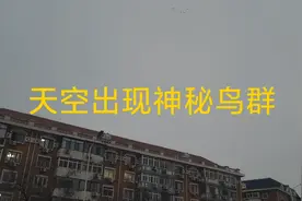 天津下午18点出现大批鸟群，有规律盘旋，谁能解释一下视频封面