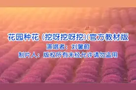 刘馨蔚《挖呀挖呀挖》原唱完整版抖音热歌推荐,歌词句句入心经典视频封面