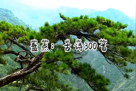 中国古诗300首视频封面