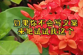 #vlog日常 如果你不会写文案，来试试我这个，让你轻松度过17000