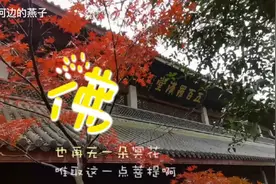 灵隐寺，中国佛教古寺，印度僧人慧理至此，面山建寺，取名灵隐。