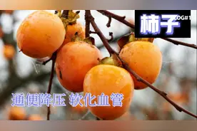 血压高多吃柿子，软化血管 润肠通便，特别是老人该多吃