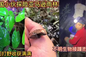 中国小伙探险亚马逊雨林！夜间打野收获满满！不明生物接踵而来！视频封面