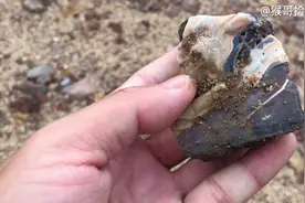 夏天雨季来临，临沂沂河里的火山熔岩被大水冲刷，冲出好些玉石视频封面