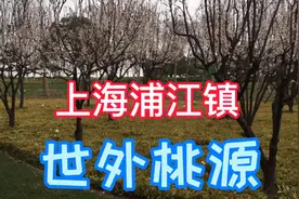 上海兼职搬家，一单搬到浦江镇，发现这个地方像世外桃源一样！