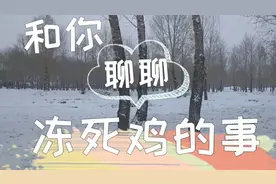河北两只鸡“越狱”站雪中冻死，啥原因？能吃吗？