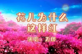 由刀郎作词、作曲和演唱的歌曲《花儿为什么这样红》分享给你。视频封面