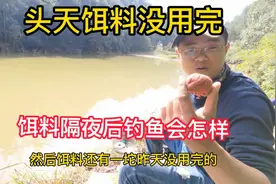 隔夜饵料用起来会怎样，昨天开饵多了剩了一点，今天直接拿来开钓视频封面
