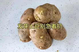 发芽土豆别急着扔，加水煮煮洗头，解决了很多人的烦恼，省钱实用视频封面