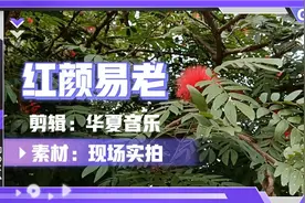 《红颜易老》完整版#都说往事别再重提，只是红颜易老去。