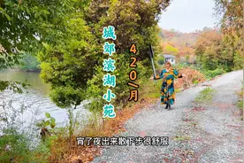 重庆主城郊区 滨湖乡村小院420/月 10公里进城 生态鱼池 田园风光视频封面