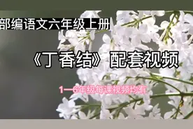 部编语文六年级上册《丁香结》配套视频（1—6）年级每课视频均有