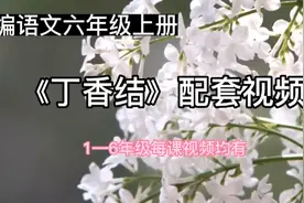 部编语文六年级上册《丁香结》配套视频（1—6）年级每课视频均有