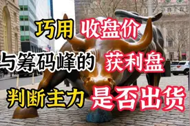 A股：学会这个数字，就能判断主力筹码剩多少，不再高位站岗！视频封面
