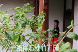 遇见最美古诗词 第1集《夏日登车盖亭》视频封面