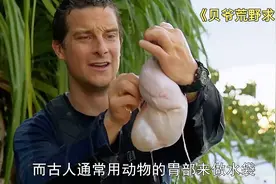 贝爷在马来西亚海岛求生，捕获一只野猪全身都是宝，这也太爽了吧视频封面