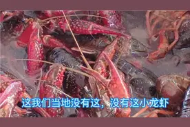 小龙虾这样保存，一天两宿，一样鲜活#剪映福利#