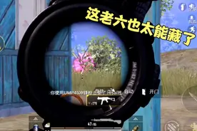 决赛圈遍地老六，处处都是惊吓，还好小狐狸反应快成功吃鸡！视频封面