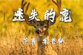 烧脑剧情，我与爱人生活在同一个房间，却不在同一个空间视频封面
